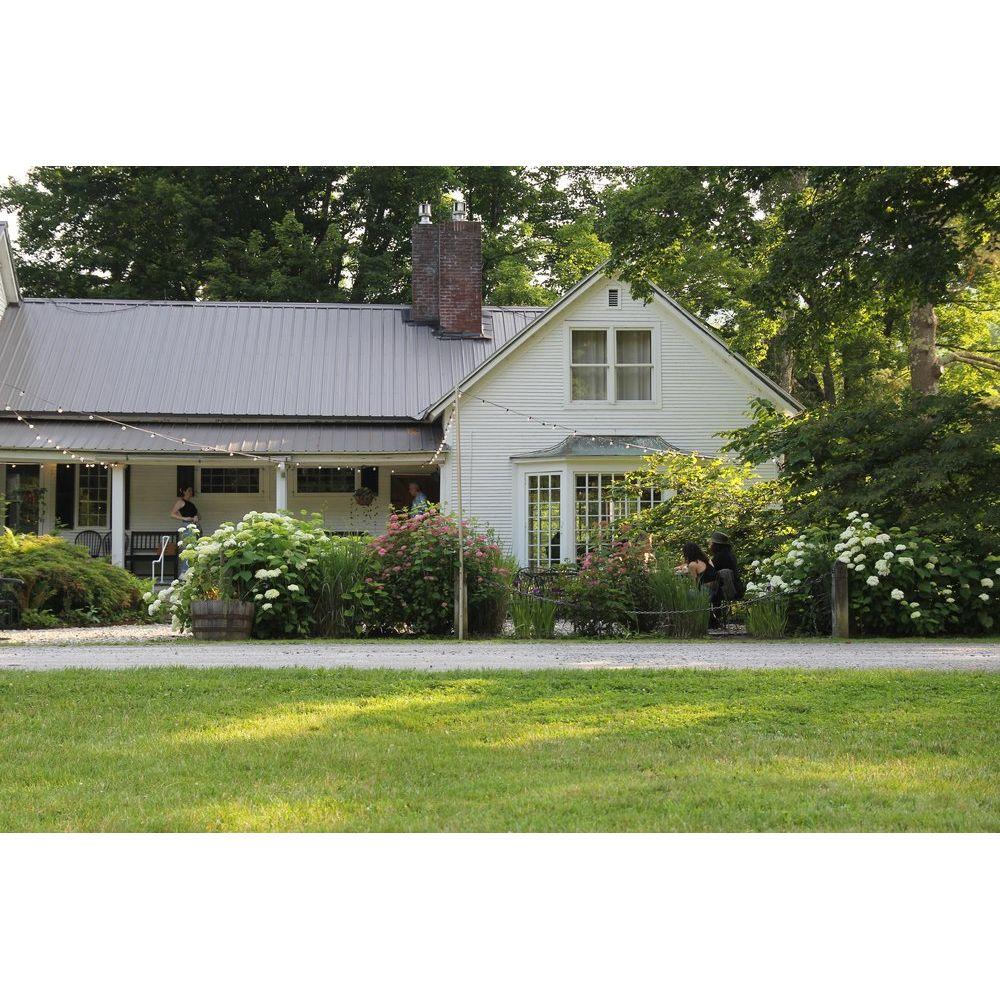 Lush late-summer vibes