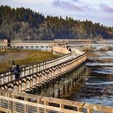 Billy Frank Jr. Nisqually National Wildlife Refuge
