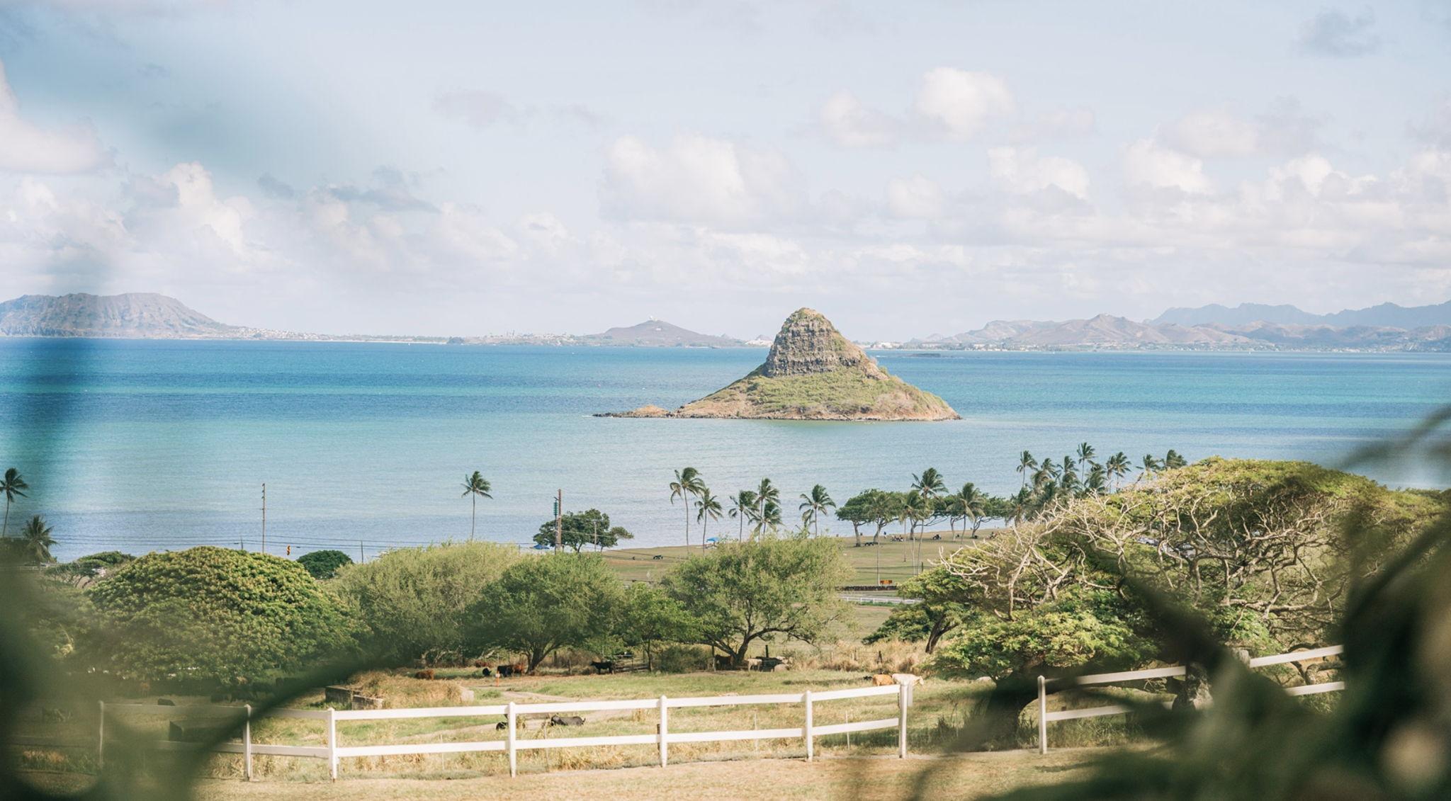 The Wedding Website of Timothy Wasilewski and Payton Stanley