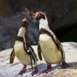 Santa Barbara Zoo