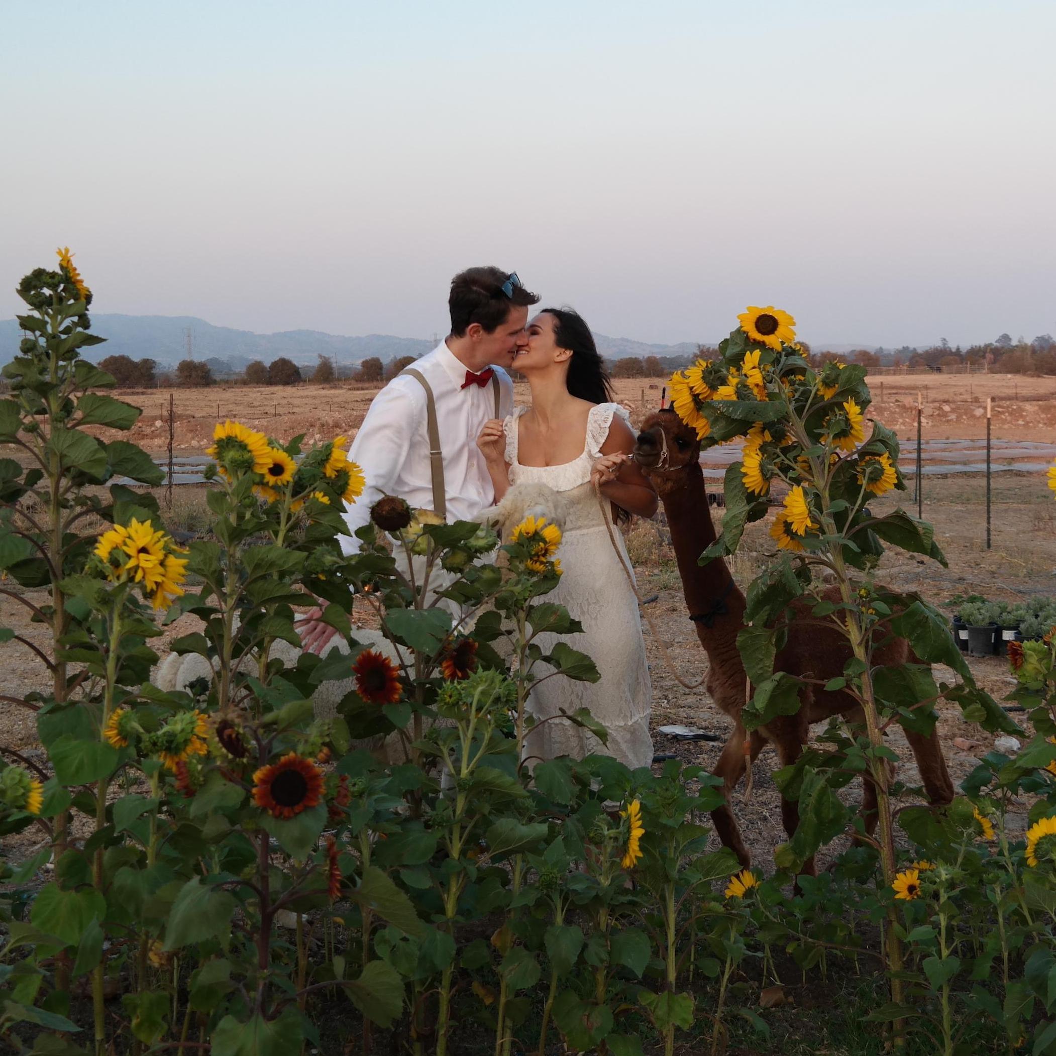 Symbols of love. And of salty snacks everywhere.