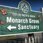 Monarch Butterfly Sanctuary