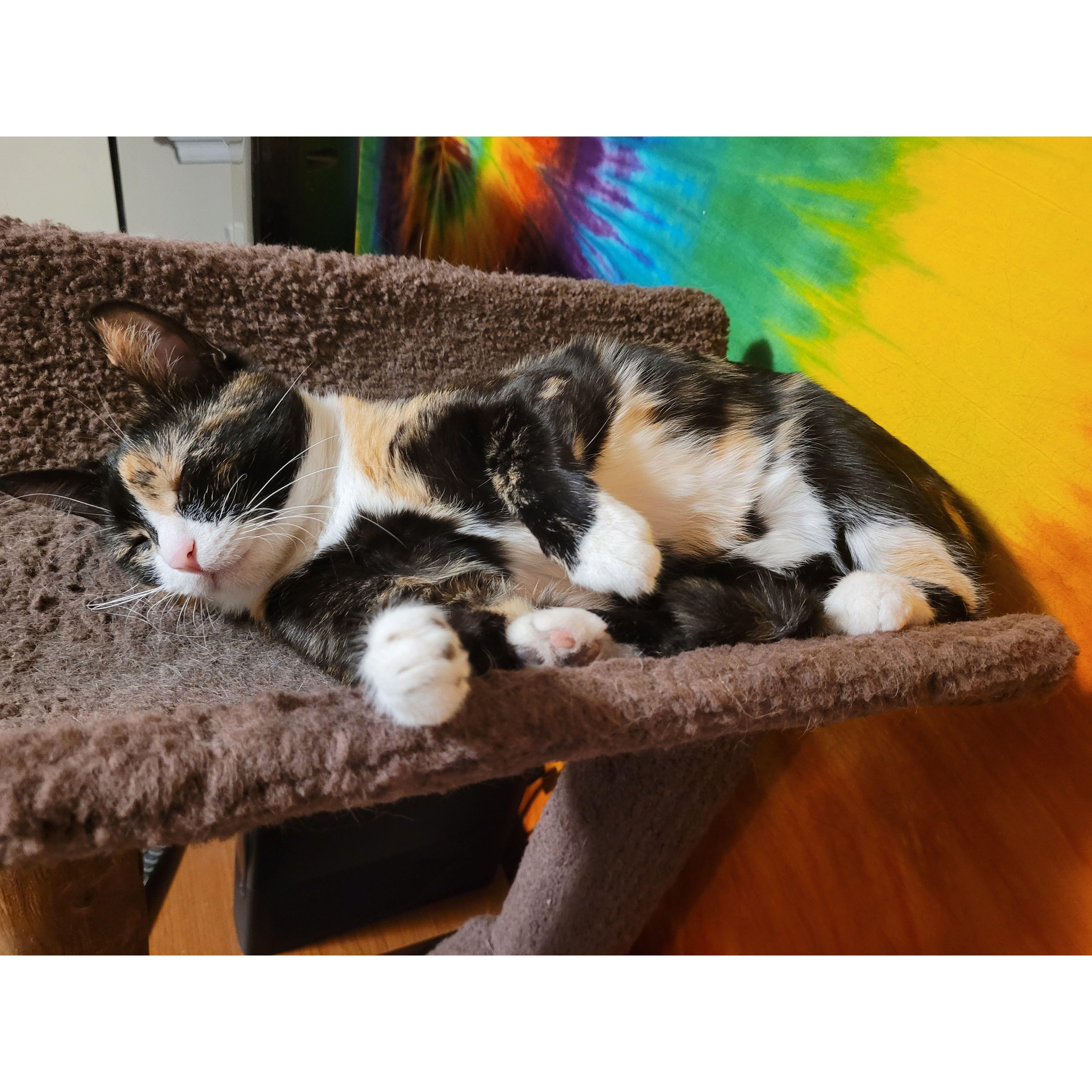 Sabrina