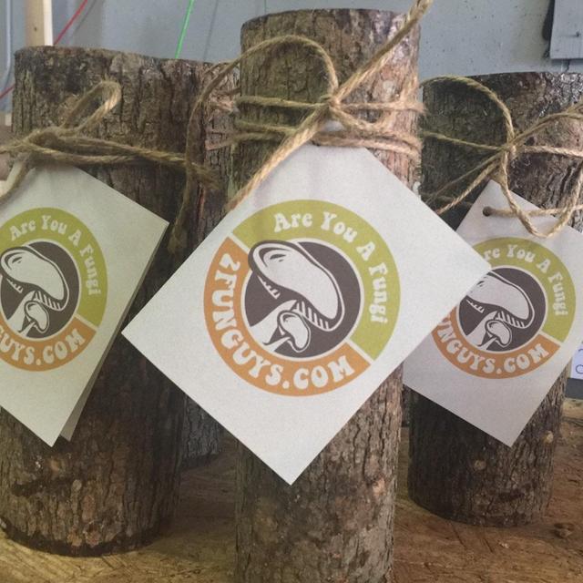 12" Shiitake Mushroom Log...