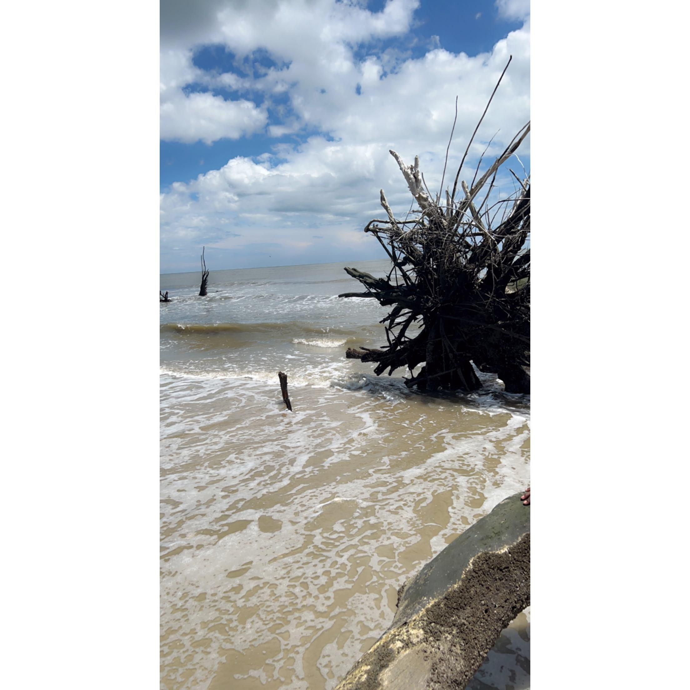 Botany Bay Beach....we LOVE IT here.