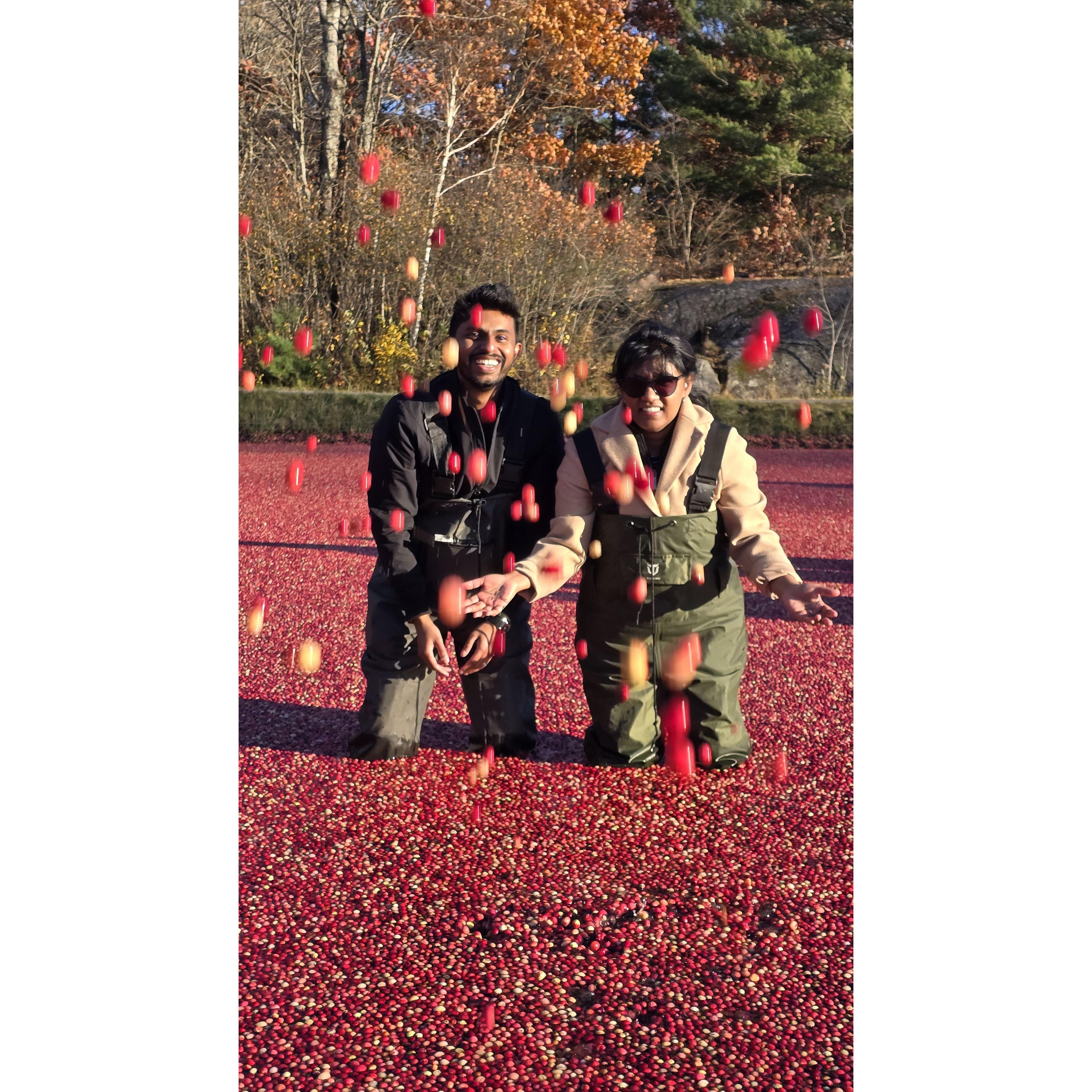 Keeping it balanced with cranberries in the plunge! :D