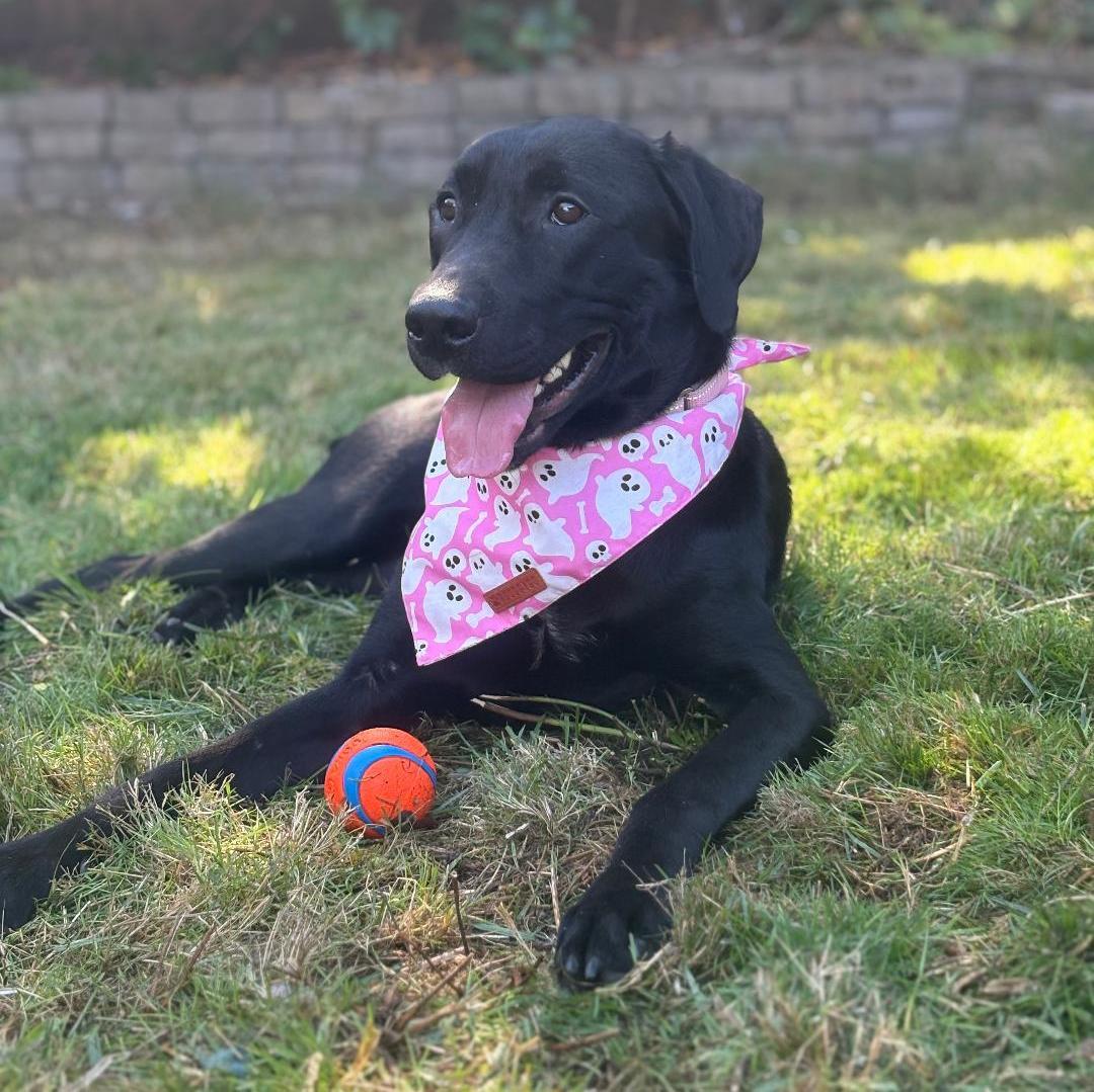 Winifred