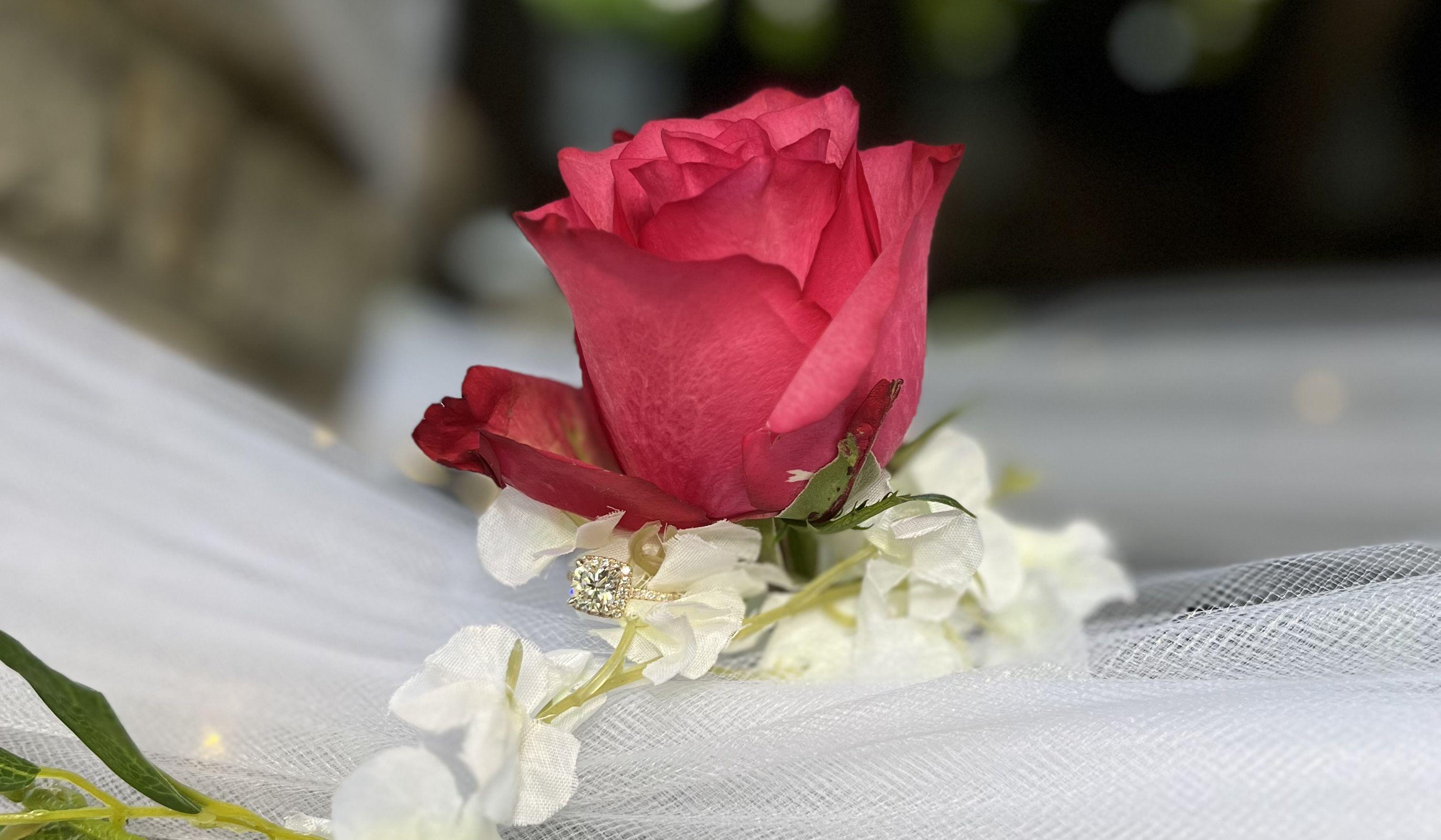 Footer image