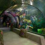 Virginia Aquarium & Marine Science Center