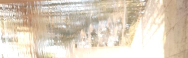 The Wedding Website of Matt Jones and Carol Coulter