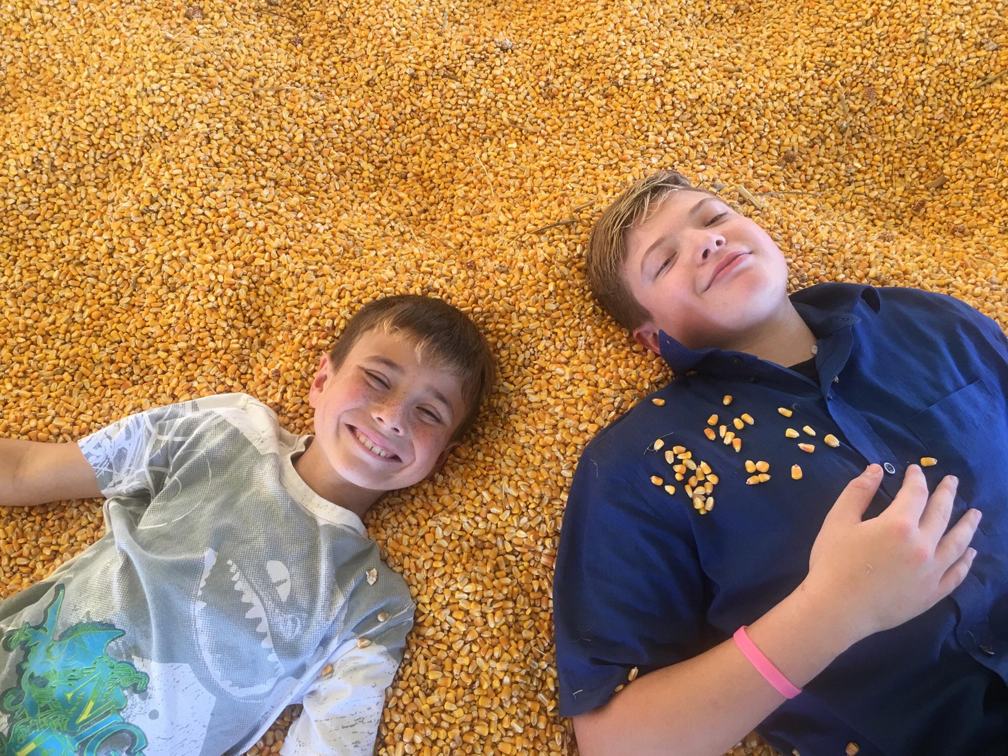 We like corn