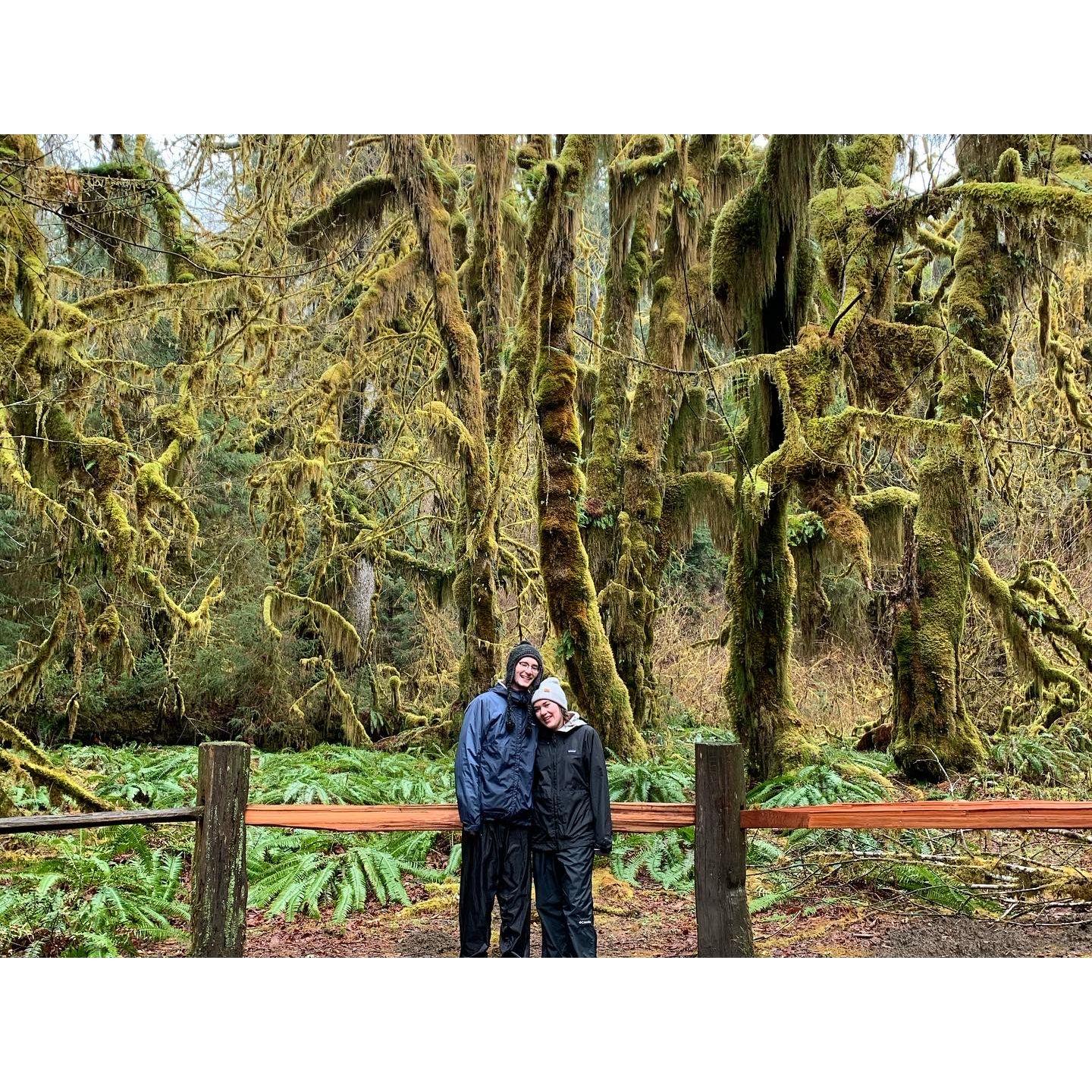 Hoh Rainforest