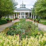 Daniel Stowe Botanical Garden