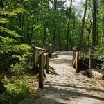 Wildwood Preserve Metropark