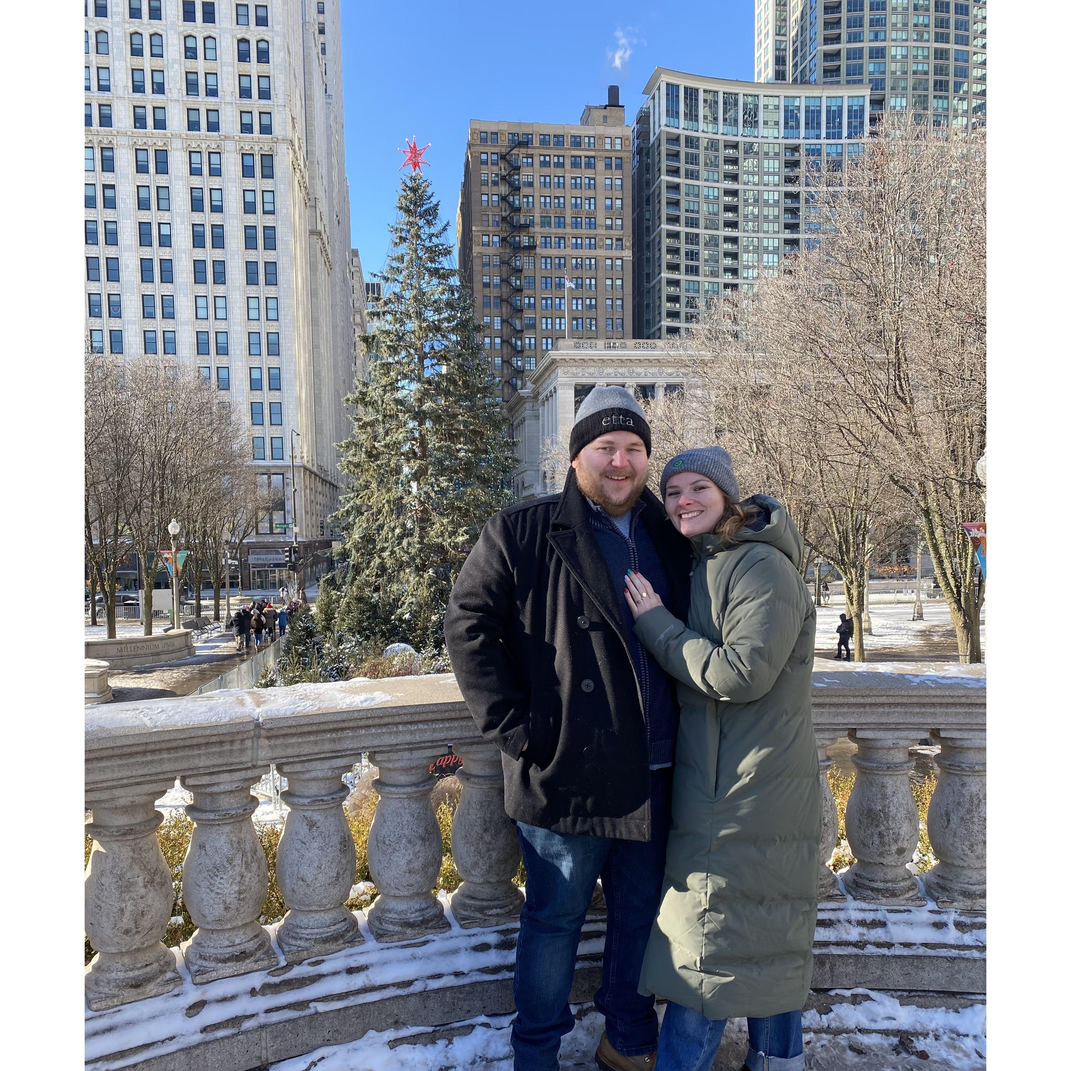 2022 picture with Chicago’s city tree