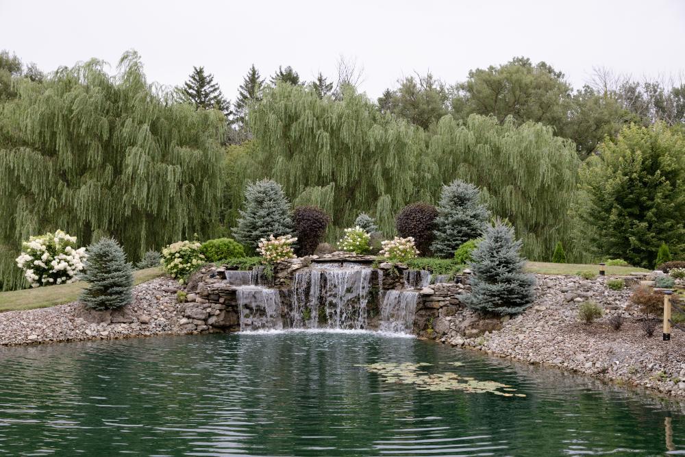 The Wedding Website of Madeline Harning and Paul Bavisotto