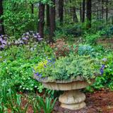 Huntsville Botanical Garden