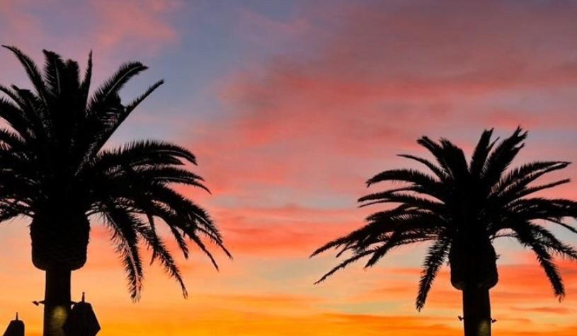 The Wedding Website of Jessie Harper and Jason Avedesian