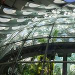 California Academy of Sciences