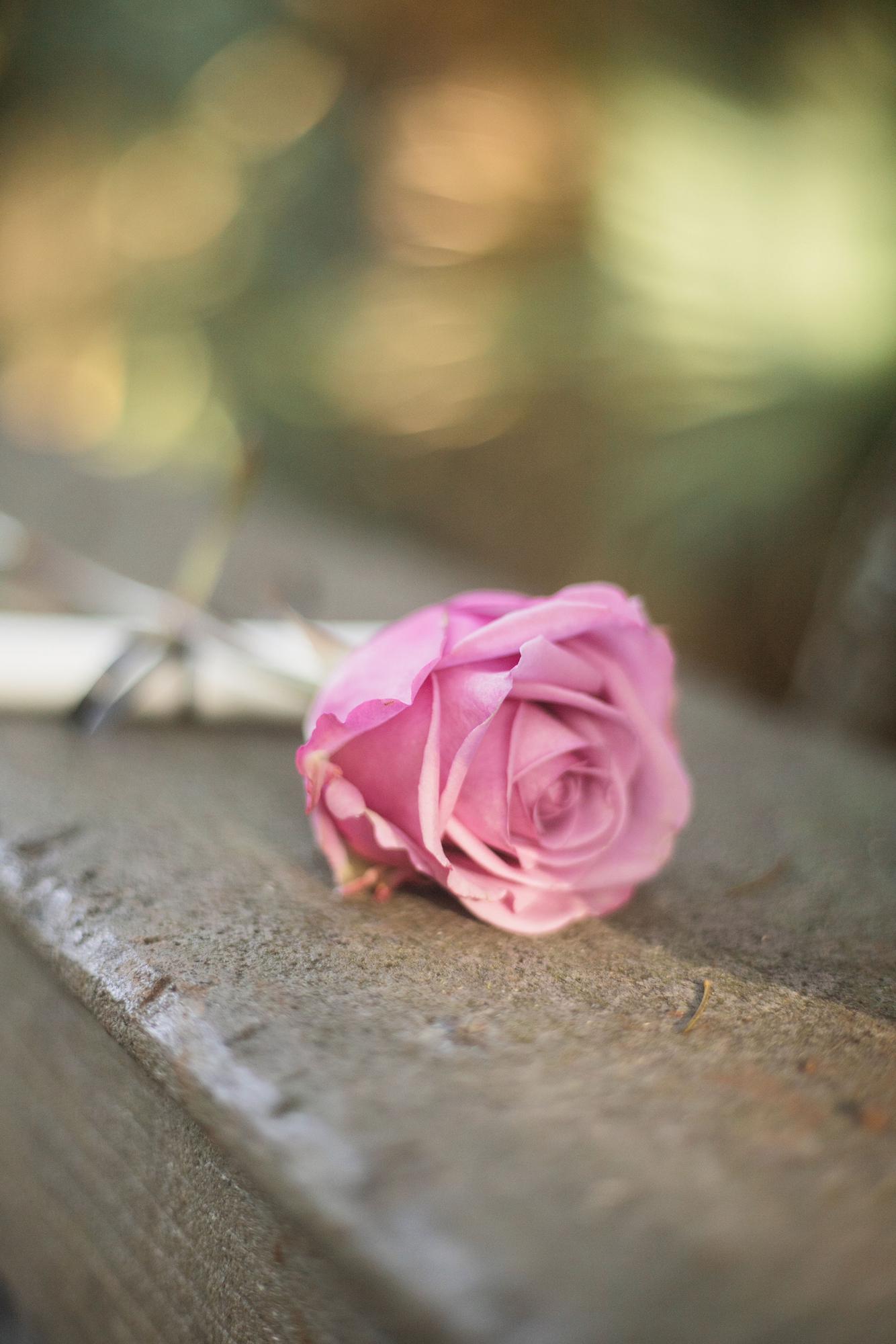 But this was not a "girls photoshoot" after all! Justine looked to her left and saw a purple rose and note tied to it. She opened the note and it was from Connor!
