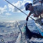 Deep Sea Fishing