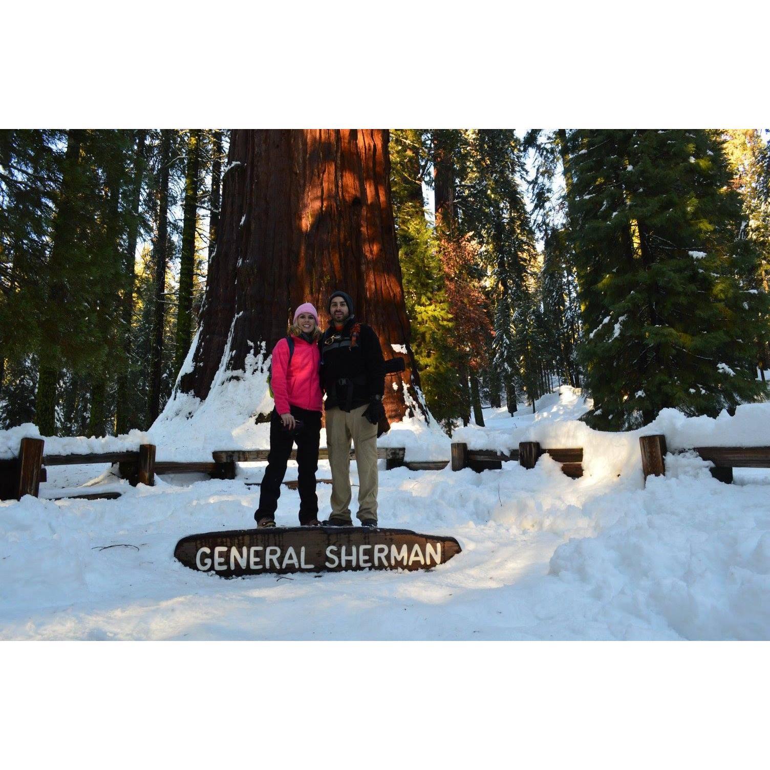 Sequoia National Park, January 2017.