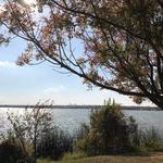 White Rock Lake Trail