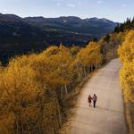 Leaf Peep on Boreas Pass