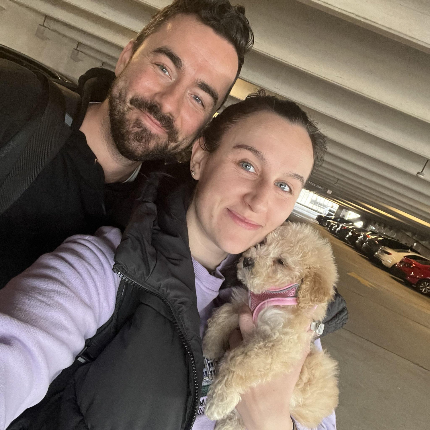 November 2025 - Adopted our mini golden-doodle, Honey