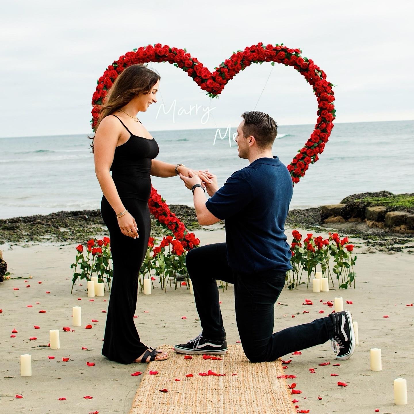 The proposal! September 2024