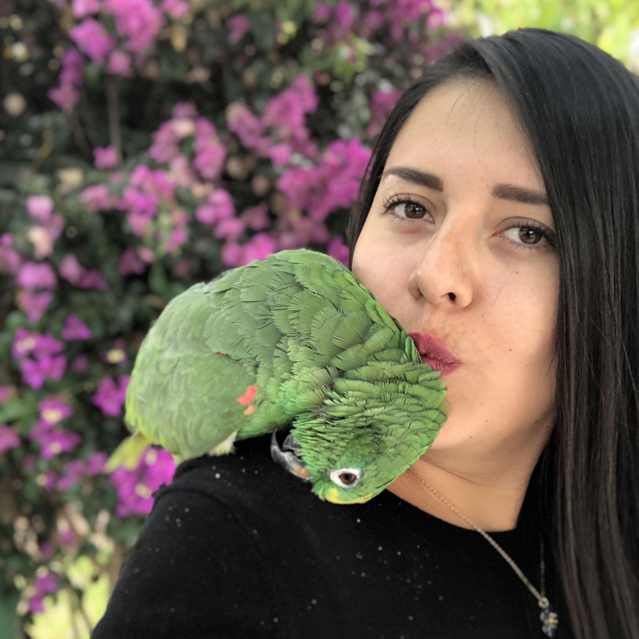 Amazon - Vanessa and a lovely parrot.