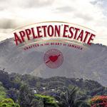 Ys Falls & Appleton Estate Rum Tour