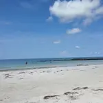 Honeymoon Island State Park