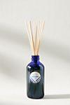 Capri Blue Reed Diffuser