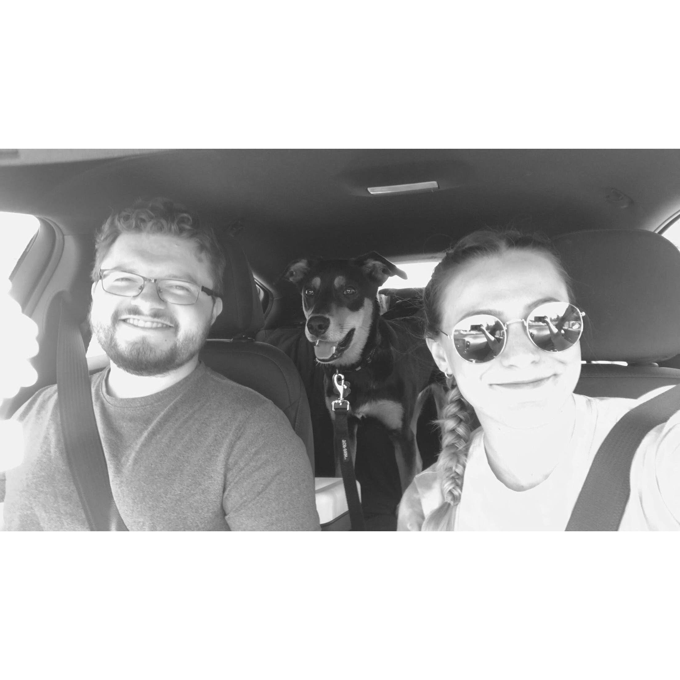 On our way to the Adirondacks with Mosby!