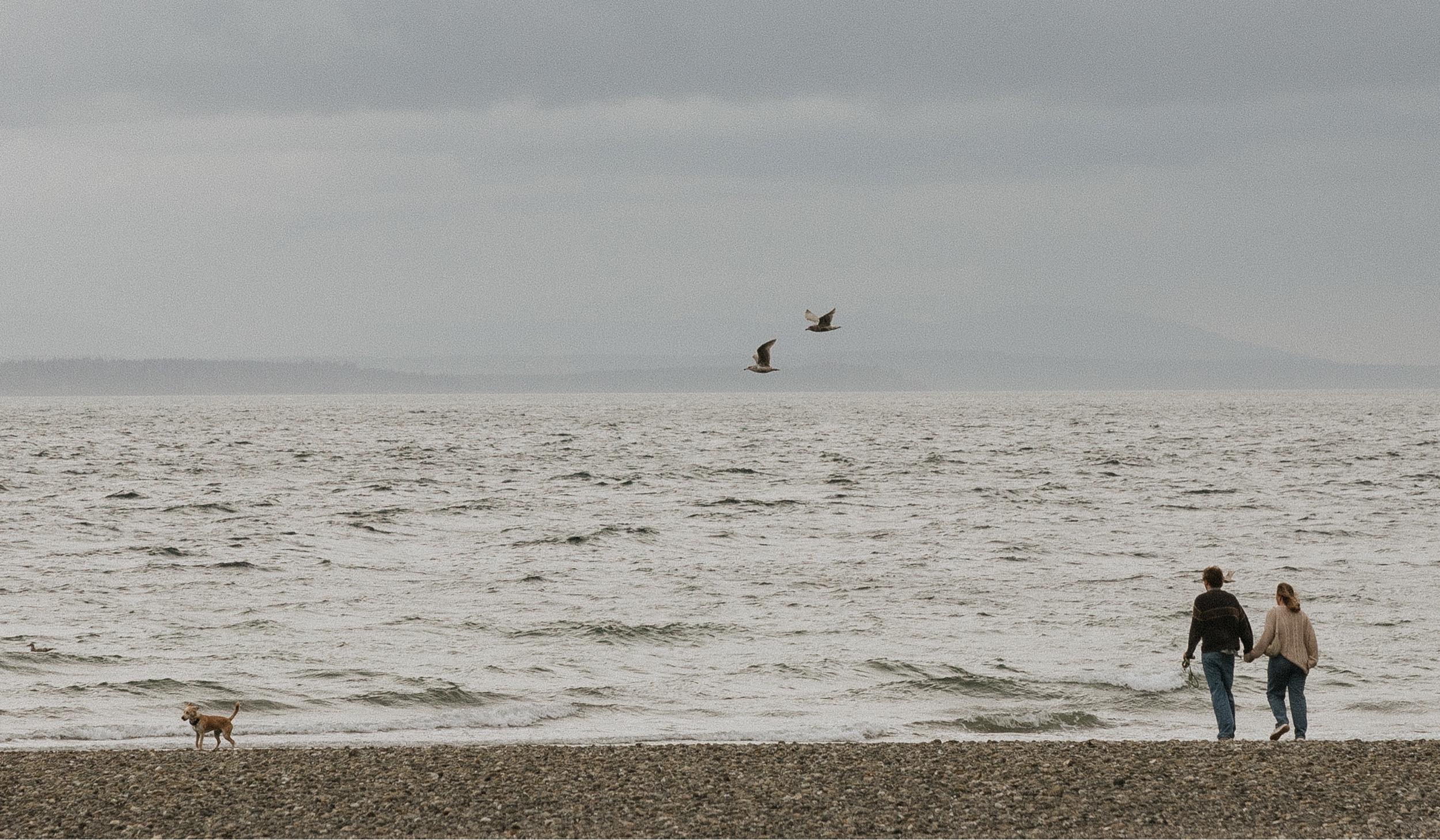 3db97dd3-9476-4e99-996f-686709cb090b