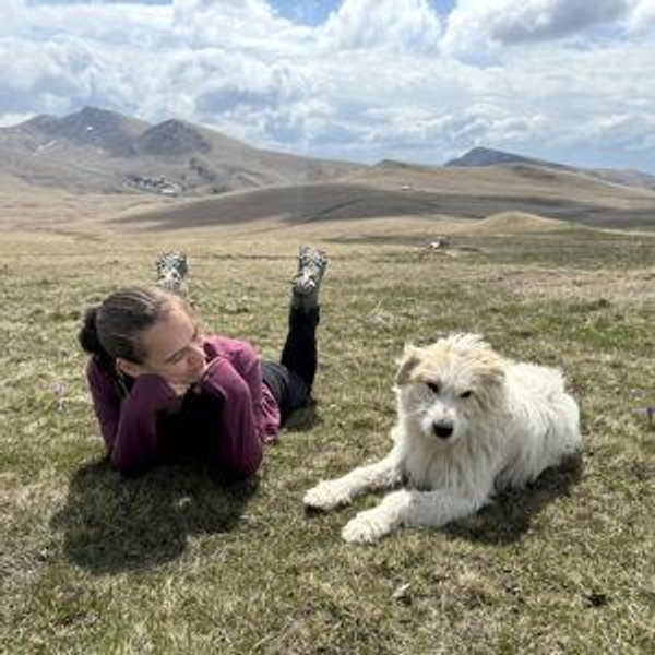 Dog adoption fund