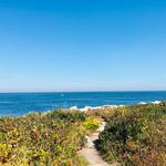 Halibut Point State Park