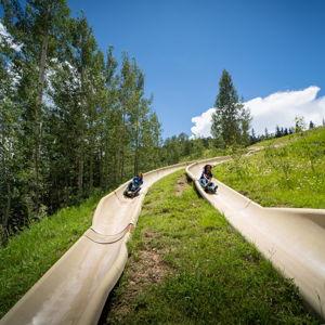 Alpine Slide - Honeymoon