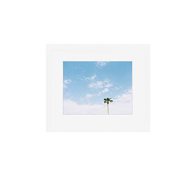 Cali Palm Trees by Justine Milton