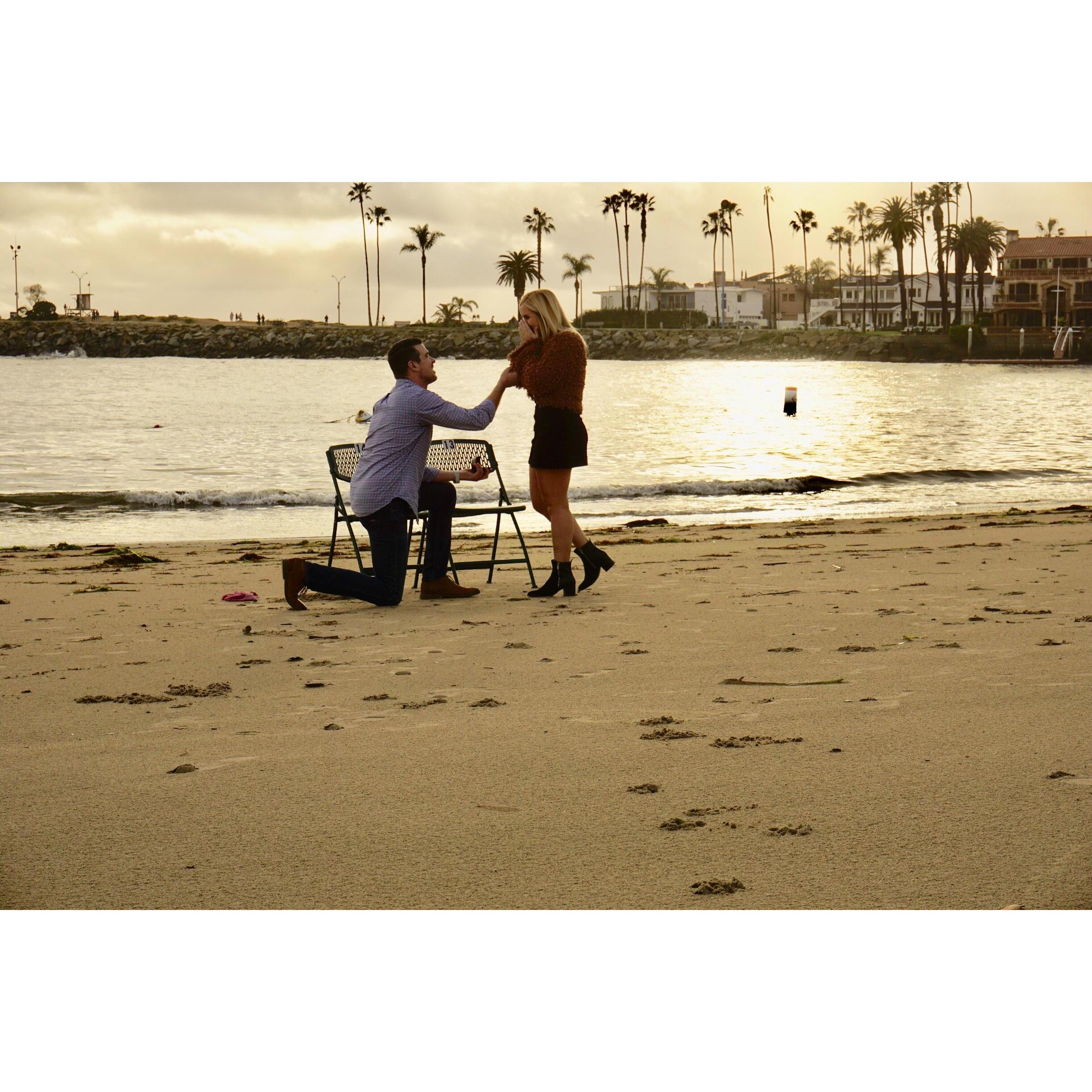 The Proposal
