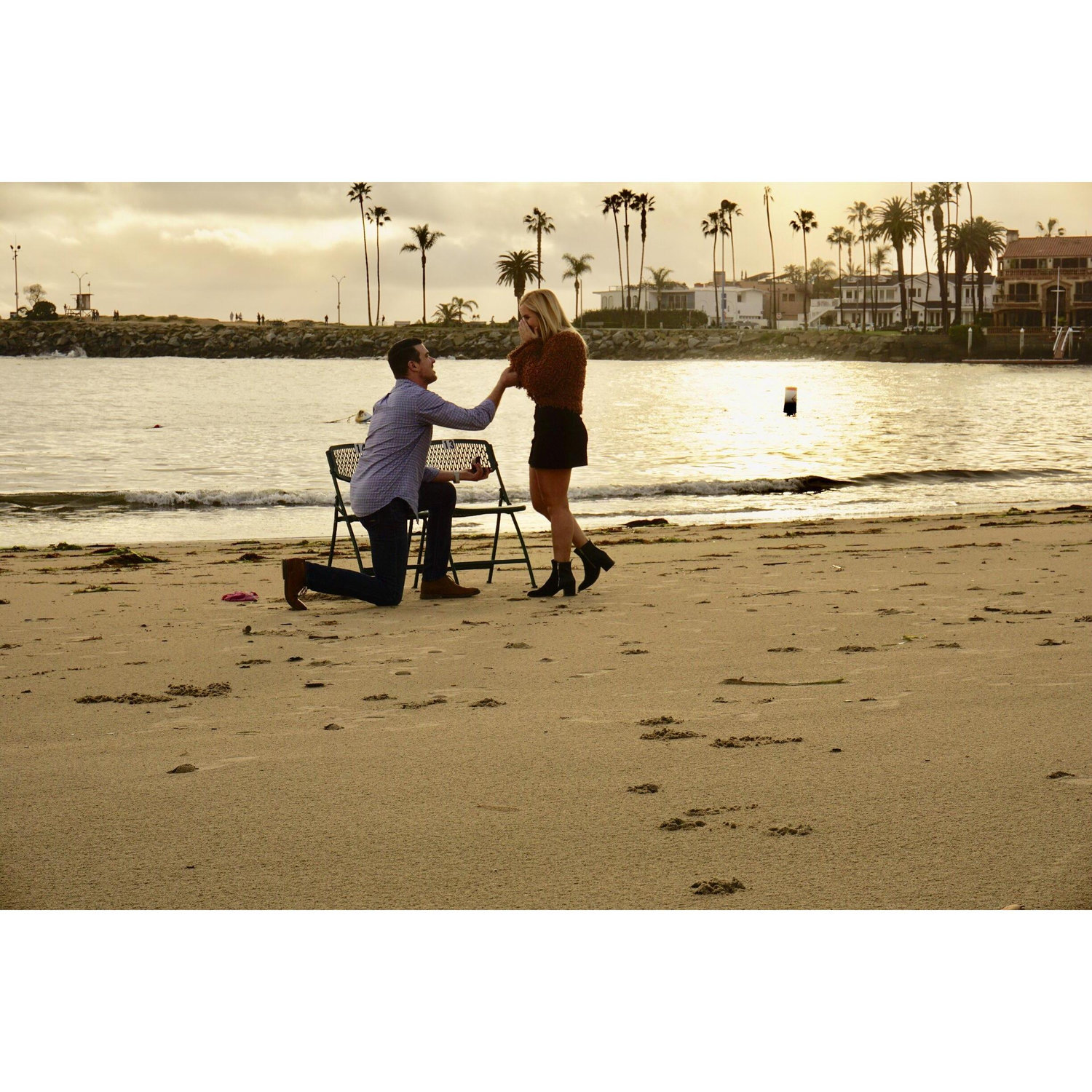 The Proposal