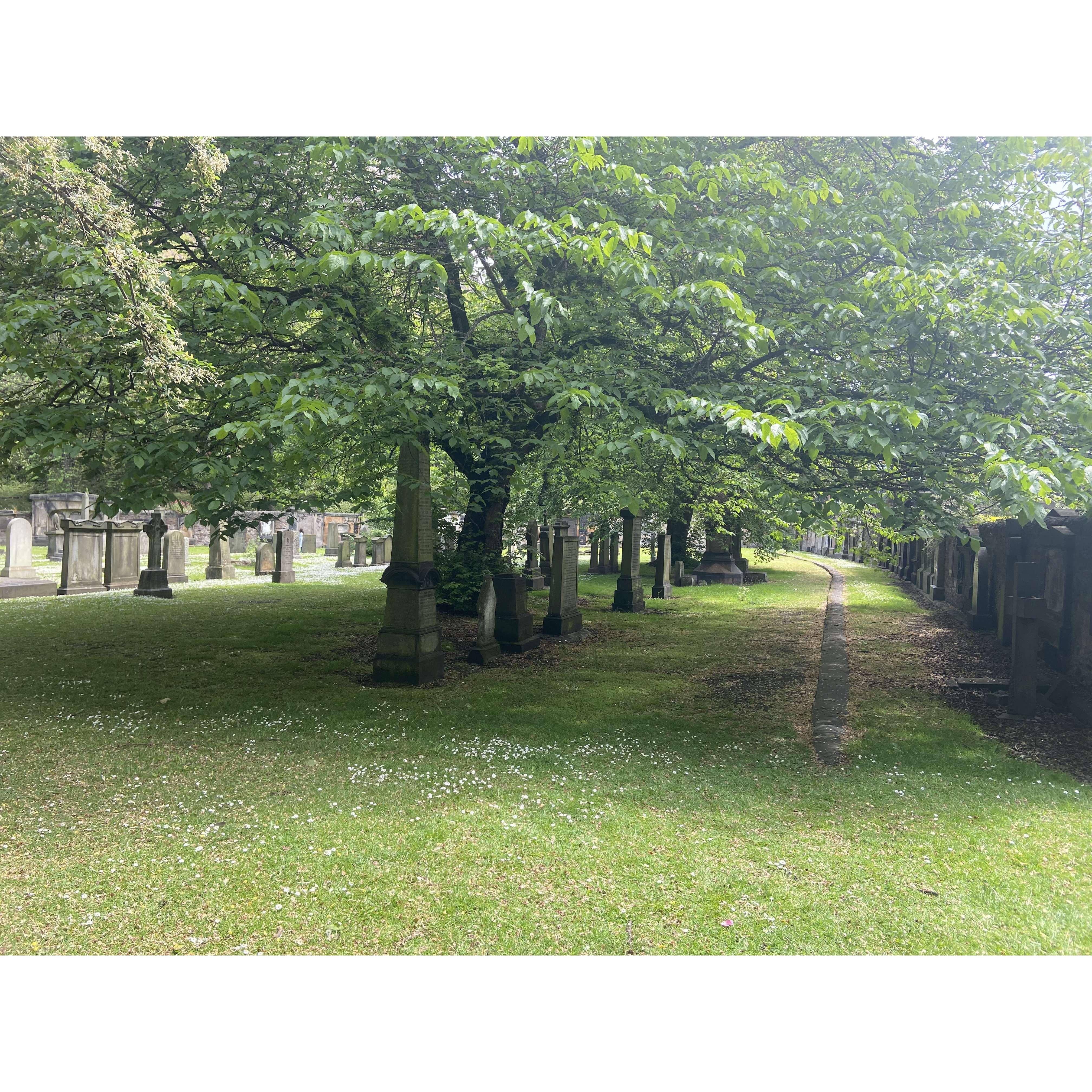 After wandering through the market area we discovered a grave yard. There were some sad, beautiful and historically interesting graves. I really enjoyed it. 