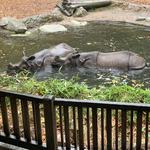 Woodland Park Zoo