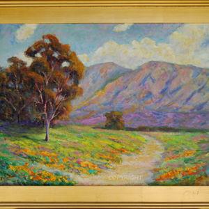 Path through the Poppies #804 - Art Print