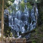 Ramona Falls Trailhead