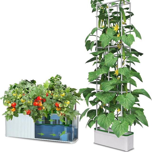 Smart Hydroponic Growing System kit,7L Indoor Hydroponic Garden Kit for Herb,Zucchini,Tomato,Pepper,Unique Gardening Choice for Wife,Husband,Dad (60inch Trellis Without Growlight)
