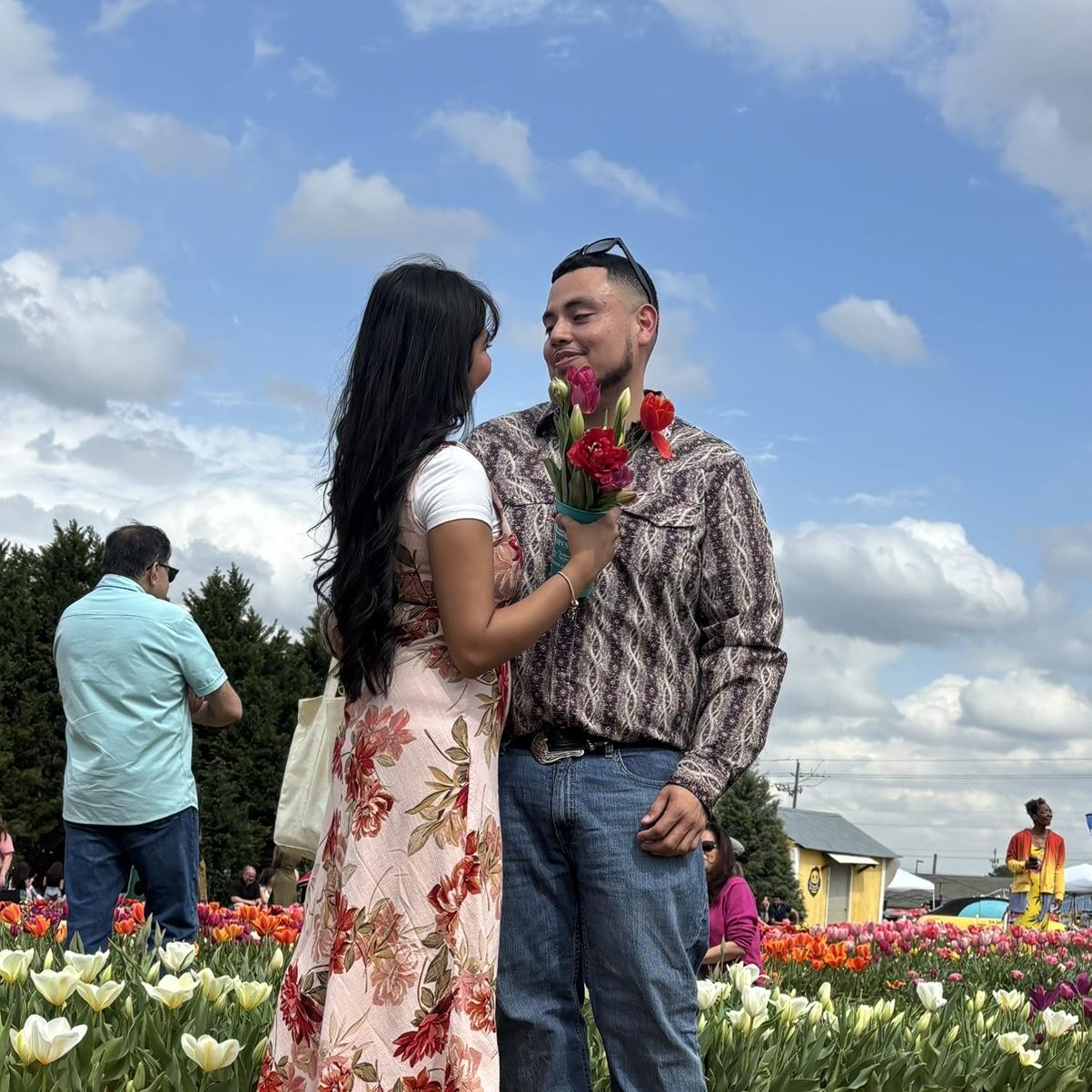 📍Yule Tulip Festival