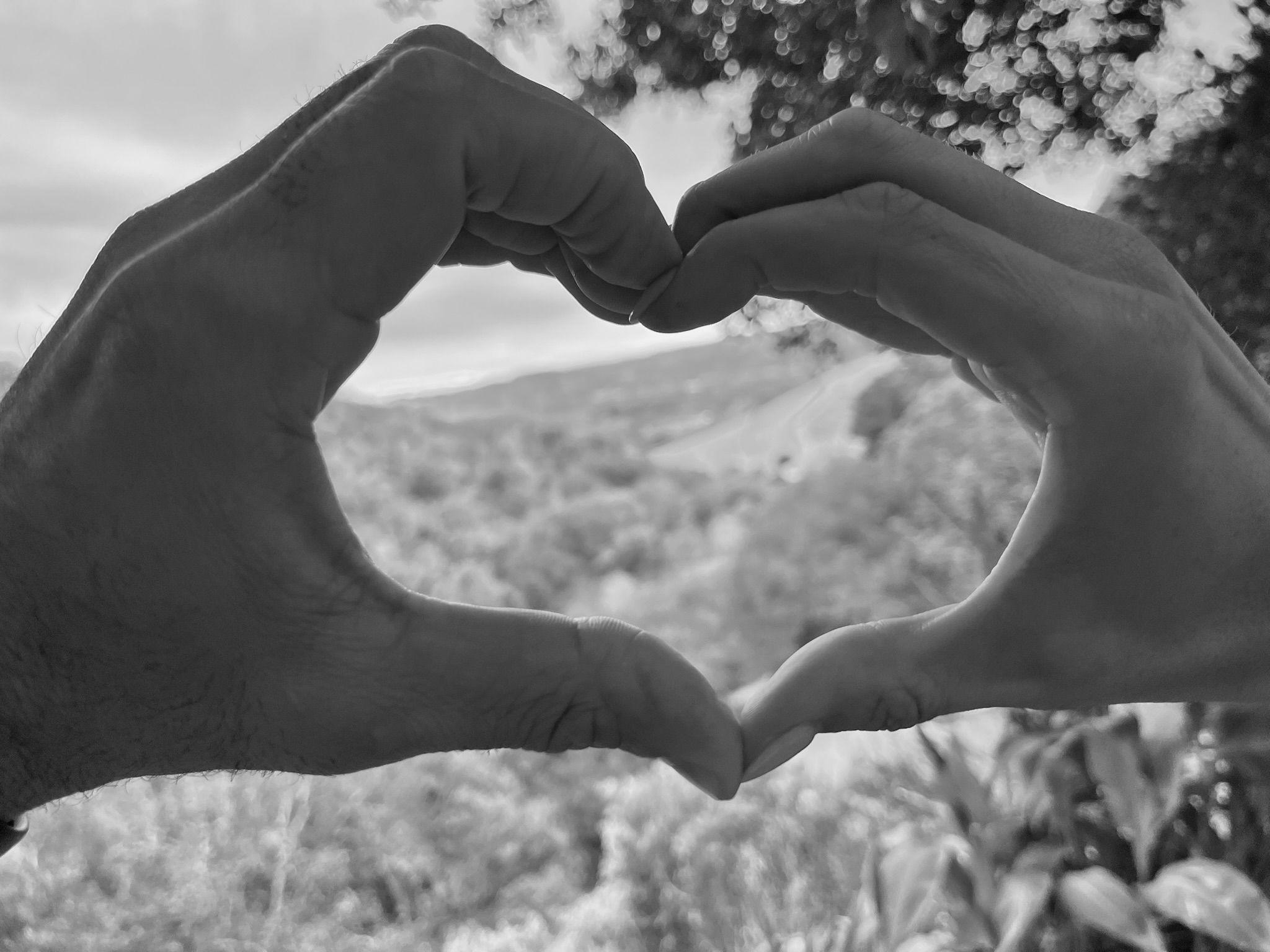The Wedding Website of Clare Aubry and Todd Simmons