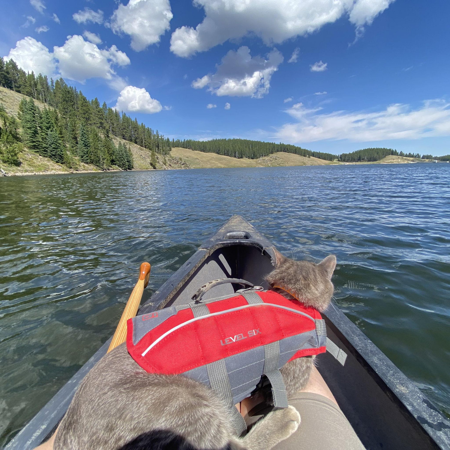 Smokey canoeing on Tie Hack Reservoir in the Bighorn National Forest